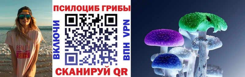 Псилоцибиновые грибы MAGIC MUSHROOMS купить наркоту Южно-Сухокумск